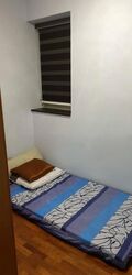 Evergreen Park (D19), Apartment #486758781